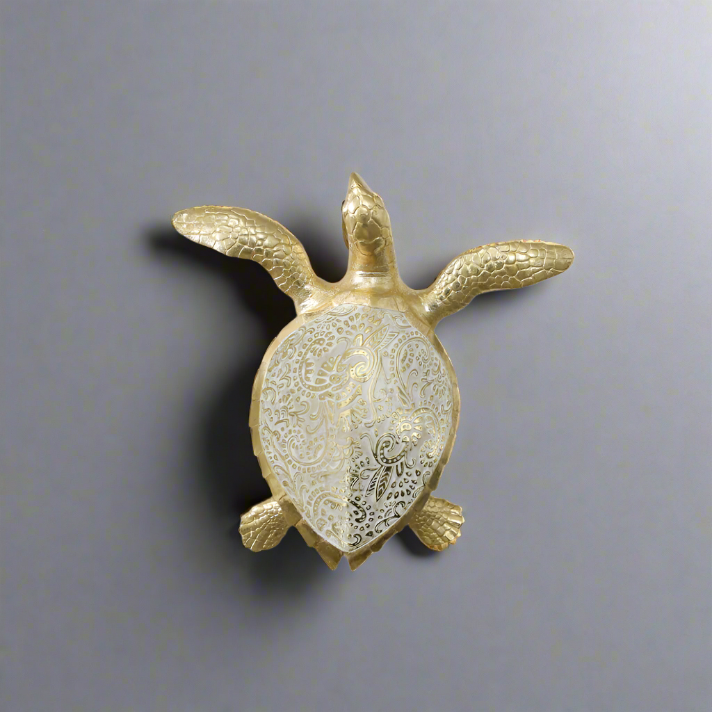 TORTUGA CARIBEÑA RESINA