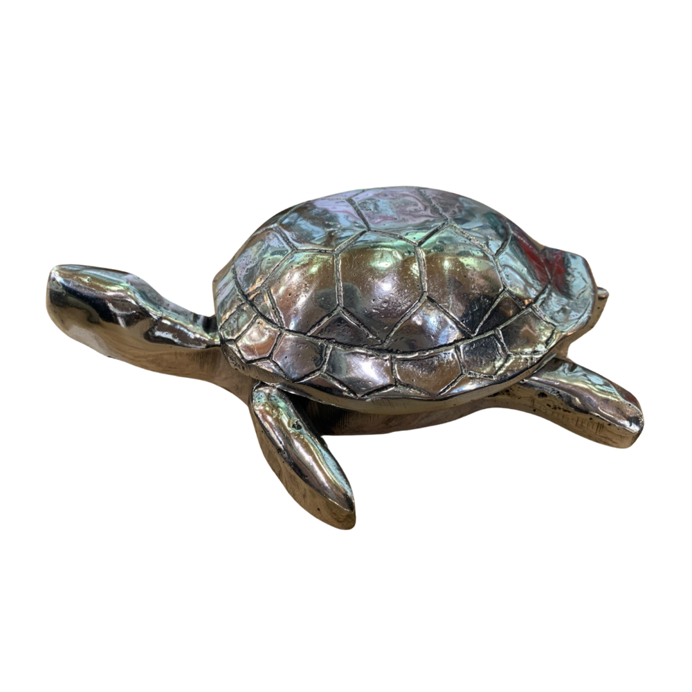 Peltre Tortuga