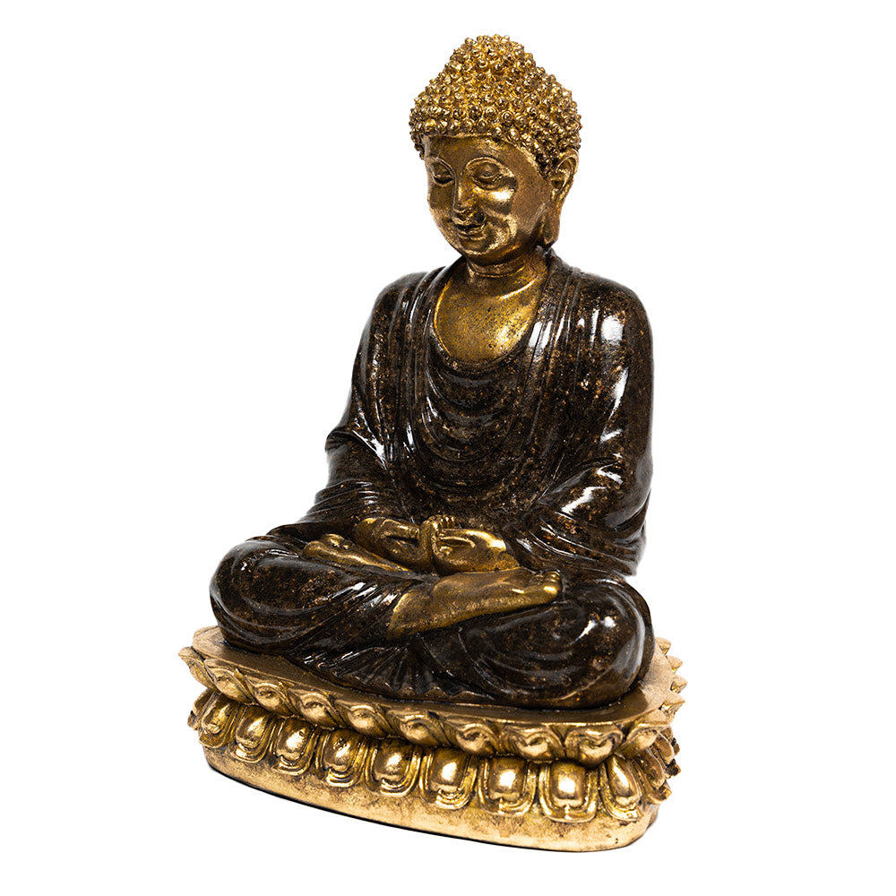 POLIRESINA BUDA